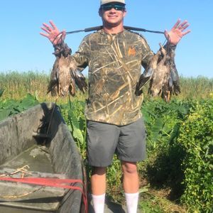 Meet your Posher, Patrick